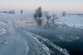 059_Biebrza - marzec 2013